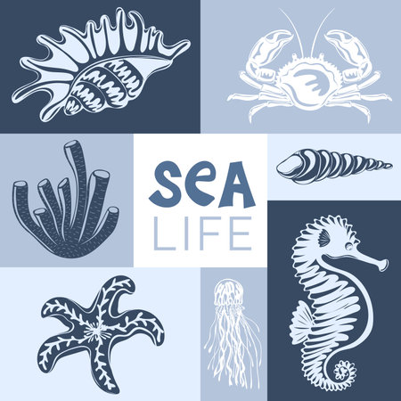 sealife. creative aesthetic graphic poster. Underwater animals: starfish, shells, corals. Ideal for postcard, advertisement, book, poster, banner. vector illustrationのイラスト素材