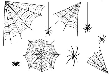 Spiders and cobwebs. Happy halloween concept. Hand drawn doodle design element for poster, banner, t shirt, card, flyer, invitation. vector illustrationのイラスト素材
