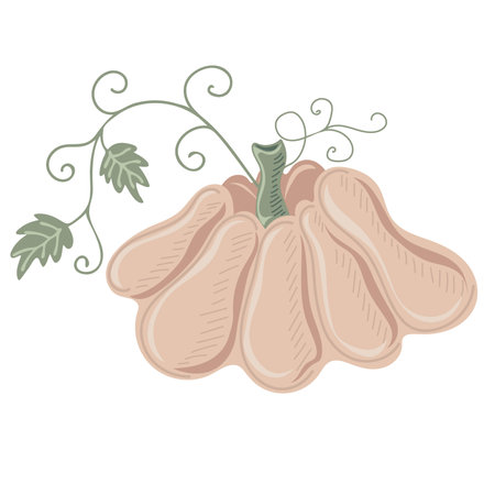 Pumpkin. Thanksgiving and Halloween Elements for autumn decorative design, halloween invitation, harvest. vector illustrationのイラスト素材