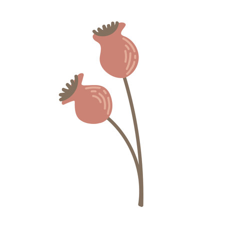 Simple Autumn twig with rosehip berries. Hand drawn stylized element for autumn decorative design, halloween invitation, harvest or thanksgiving. vector illustrationのイラスト素材