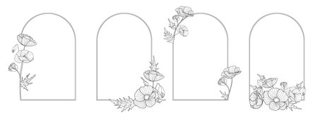 Set of romantic vertical arch frame with outline poppies. Floral design for labels, branding business identity, wedding invitation. vector illustration.のイラスト素材