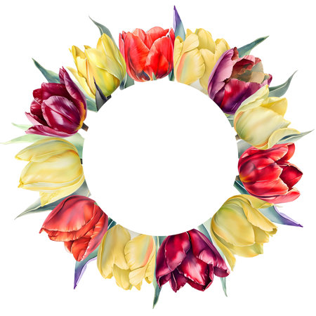 Round frame with tulip flowers. Spring flowers. Great for greeting cards, invitations. Watercolor illustration.の素材