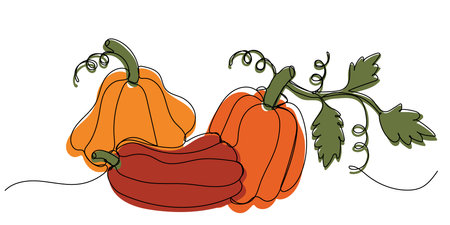 Pumpkins. Continuous one line drawing. Halloween and Thanksgiving concept. Autumn harvest. Vector illustrationのイラスト素材