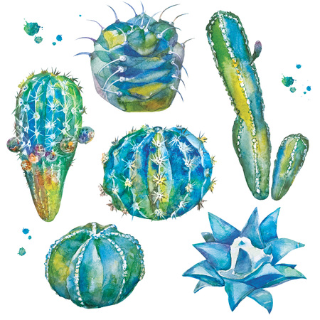 Cactus set in watercolor style. Set with different forms of cacti and watercolor splashes. Isolated plants on white background.の写真素材