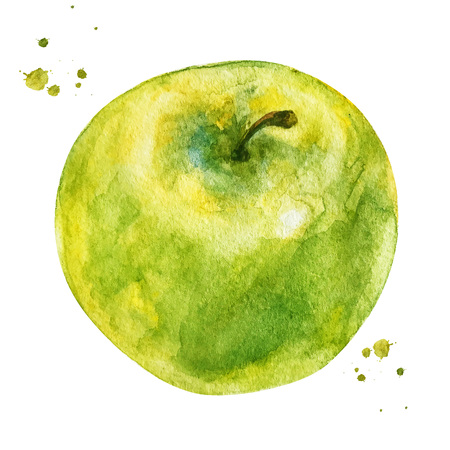Green apple with branch and watercolor splash. hand drawn style watercolor design illustrationの写真素材