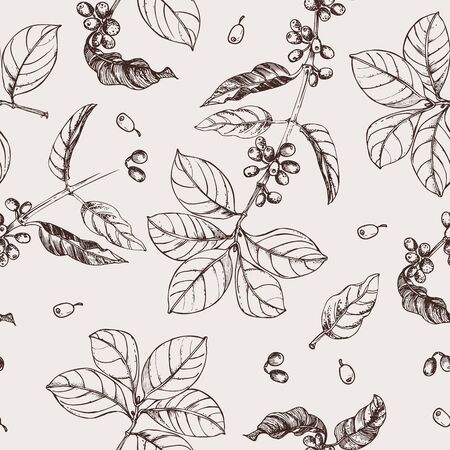 Coffee branches pattern. Illustration of leaves and fruits of coffee in sketch style. Vintage background with coffee leaves. Seamless pattern.のイラスト素材