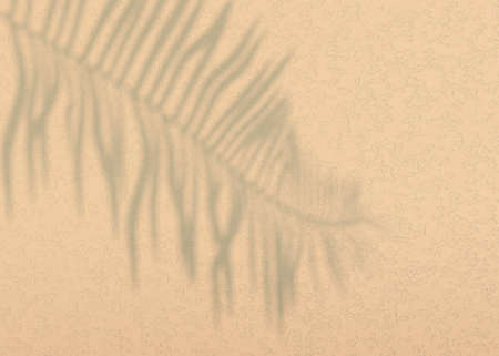 Abstract background of shadows palm leaves on a wall. 3d.の写真素材