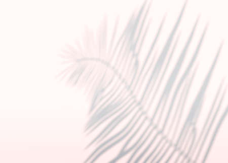 Abstract background of shadows palm leaves on a wall. 3d.