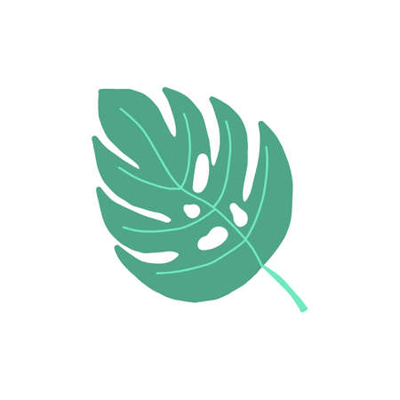 Monstera leaf in doodle style. Tropical leaf sheet with holes, home plant vector illustration isolated on white background.のイラスト素材