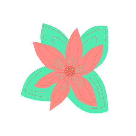 Vector Illustration of Poinsettia Flower for Christmas Decorationのイラスト素材