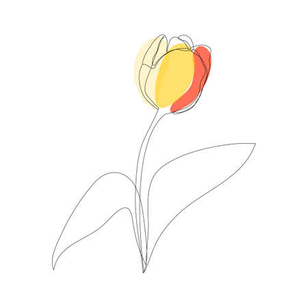 Beautiful blossoming tulip flower in continuous line art drawing style. Minimalist black linear sketch isolated on white background. vector illustrationのイラスト素材