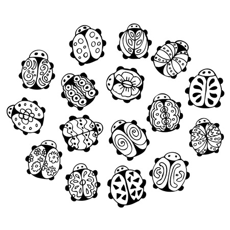 Collection of ladybirdsのイラスト素材