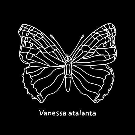 Butterfly Vanessa Atalanta. Vector illustration.のイラスト素材