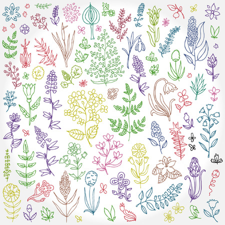 Plants and flowers setのイラスト素材