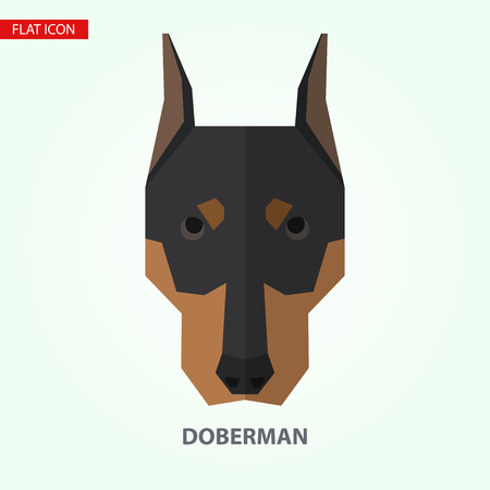 Doberman head vector illustration. It can be used as - logo, pictogram, icon, infographic element.のイラスト素材