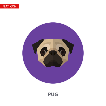 Pug head vector flat icon on turquoise circular background. It can be used as - logo, pictogram, icon, infographic element.のイラスト素材