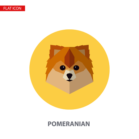 Pomeranian head vector flat icon on turquoise circular background. It can be used as - logo, pictogram, icon, infographic element.のイラスト素材