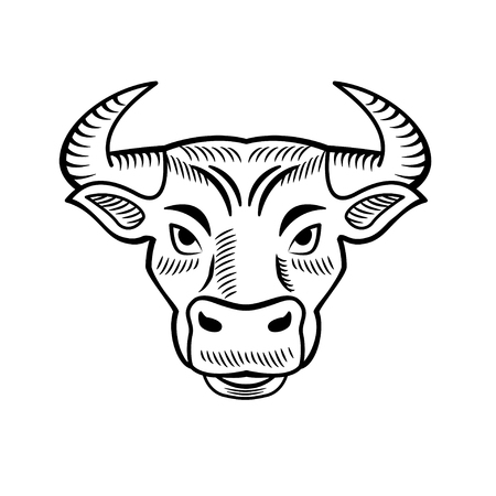 Bull head icon isolated on white background (black and white linear). It can be used as - logo, pictogram, icon, infographic element.のイラスト素材