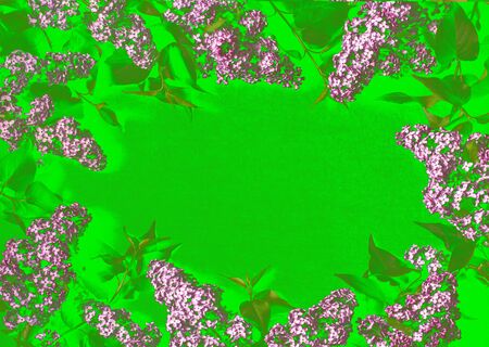 branches of lilac on a green background, fantasyの写真素材