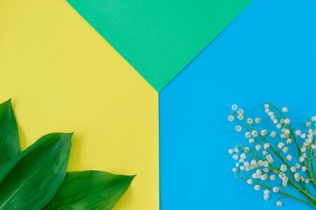 Bouquet of lily of the valley flowers on empty sheets of yellow, blue and green paper on top, top view, place for text, flat lay.の写真素材