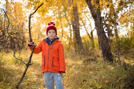 Child in an orange jacket walking on the fallen leaves in the autumn forest. Rest in the fall in nature.の写真素材