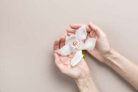 Woman hands holding orchid flower on beige background, with copy space. Womens health and body care...