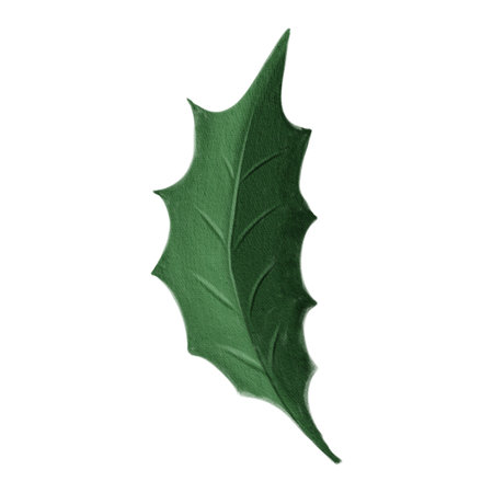 Holly leaf illustration in watercolor style with rich green tones and texture. Perfect for Christmas cards, winter patterns, festive decor, or seasonal design projects.の写真素材