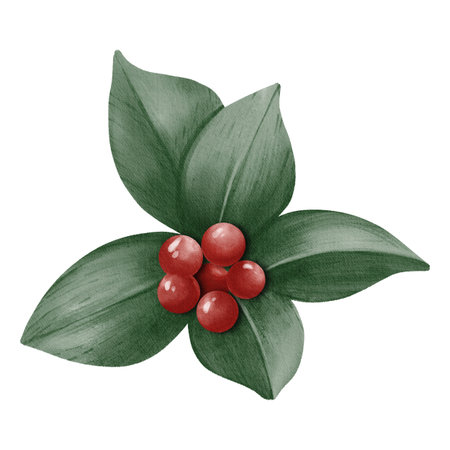 Watercolor illustration of green holly leaves with red berries. Soft and festive style. Perfect for Christmas cards, winter designs, packaging, and holiday decorations.の写真素材