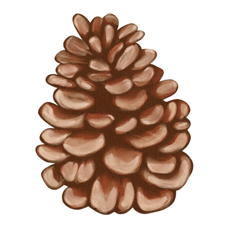 Watercolor pine cone illustration in natural tones, hand-painted in a soft realistic style. Perfect for winter decor, postcards, patterns, and botanical designs.の写真素材