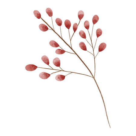 A branch with red berries, painted in watercolor style. Perfect for Christmas cards, winter invitations, packaging, fabric prints, and seasonal decorative designs.の写真素材