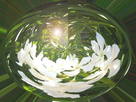 Flowersの写真素材