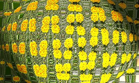 Flowers reticle Collageの写真素材