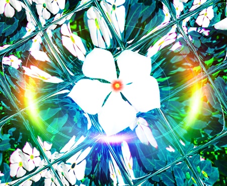 Impatiens  flower over mosaic's background. Gradient map.の写真素材