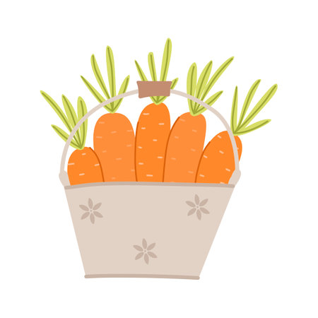 illustration of carrots in a basketのイラスト素材