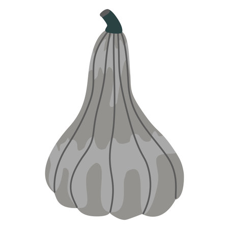 Tall gray pumpkin. Cute colorful flat pumpkin, autumn harvest, fall. Seasonal Halloween graphic elements. Flat vector illustration, isolated on white.のイラスト素材