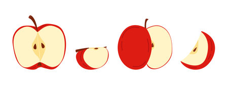 A set of red apples in flat vector style, isolated on a light background: half an apple with seeds, whole and sliced ââapples, side view, and slice. A collection of fresh, healthy apples for the fall harvest, school design, culinary themes, healthy food, dietary supplements, and packaging.のイラスト素材