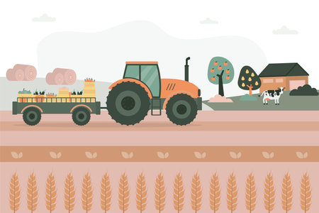 Tractor with trailer carries freshly harvested fruits and vegetables. Rural landscape, ranch. Delivery of fresh farm food to store. Ecological, organic food. Agricultural industry. Farmland. vectorのイラスト素材