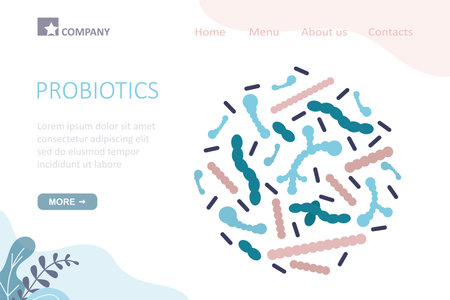 Probiotics, landing page template. Live microorganisms help normalize the functioning of intestines and liver. Probiotics, bifidobacteria have positive effect on immune system. Flat vector illustrationのイラスト素材