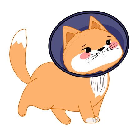 Cute orange cat with medical cone, pink cheeks, cartoon style, pet recovery, isolated on white backgroundのイラスト素材