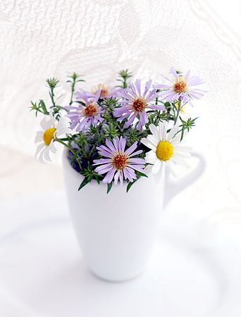 Summer bouquetの写真素材