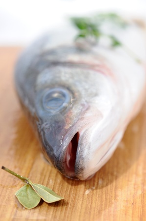 Fresh sea bass - focus is on jaws の写真素材