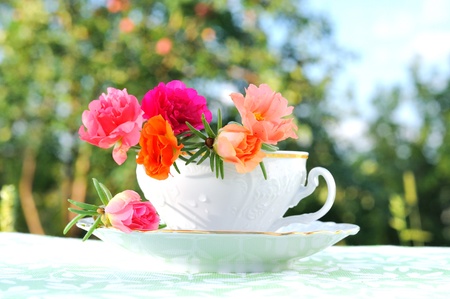 Purslane flowers in a cupの写真素材