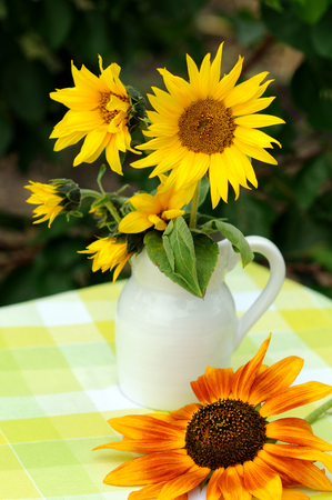 Bouquet of decorative sunflowers 