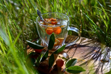 Tea with rosehip