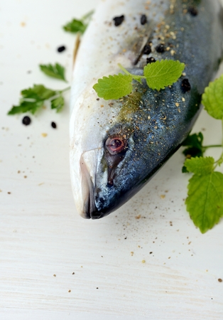 Yellowtail amberjack fishの写真素材