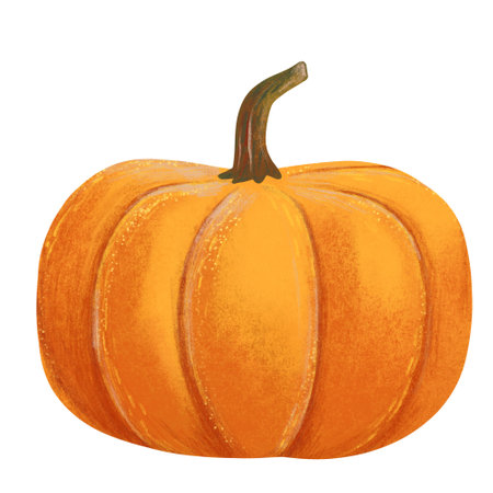 Large orange hand drawn pumpkin on a white backgroundの写真素材