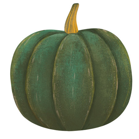 Large green hand drawn pumpkin on a white backgroundの写真素材