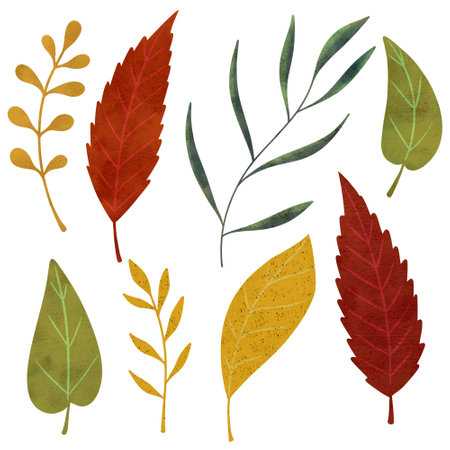Hand drawn set of orange, yellow and green autumn leaves and branches on a white background.の写真素材