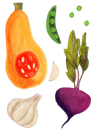Vegetables set - pumpkin, peas, beet, garlic on a white backgroundの写真素材