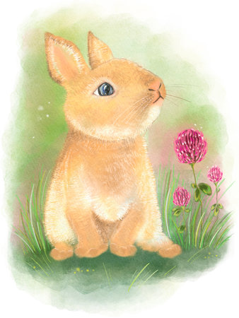 Watercolor illustration, cute rabbit isolated on a white background. Colorful drawing of a bunny sitting on its hind legs.の写真素材